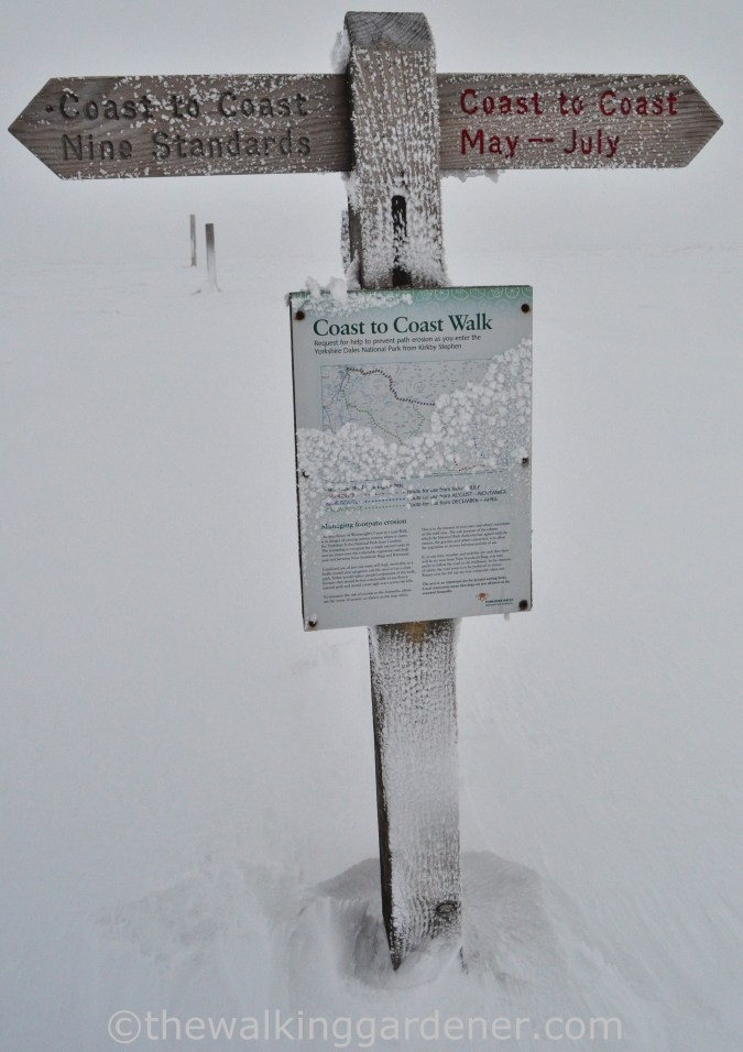 Coast to Coast March