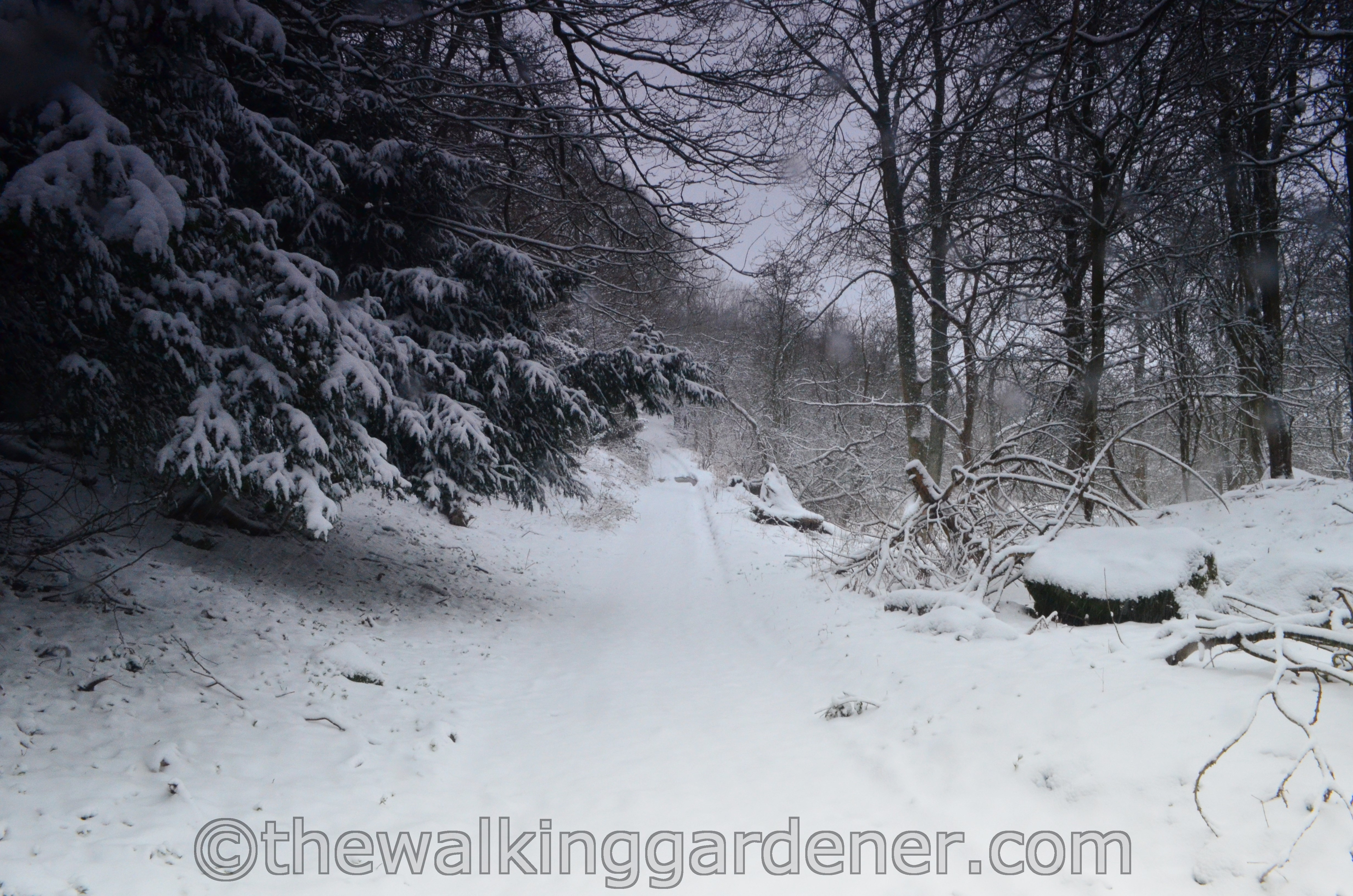 Coast to Coast Day 8 Reeth to Richmond (20)