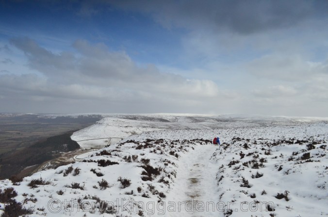 Coast to Coast: Day 10 – Ingleby Cross to Blakey Ridge | The Walking ...
