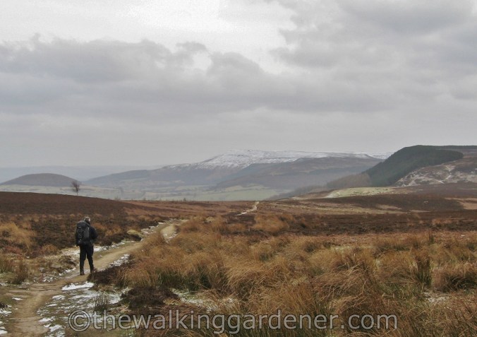 Coast to Coast: Day 10 – Ingleby Cross to Blakey Ridge | The Walking ...