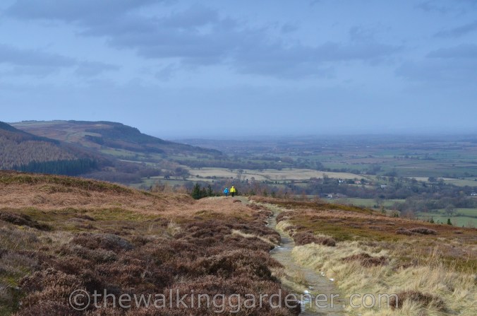 Coast to Coast: Day 10 – Ingleby Cross to Blakey Ridge | The Walking ...