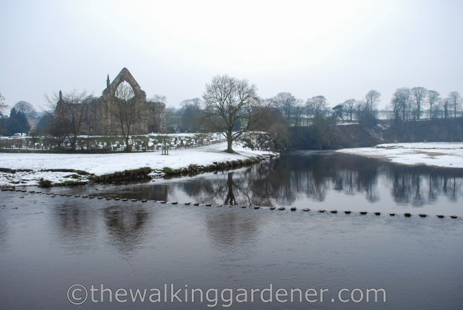 Bolton Priory Dales Way (2)