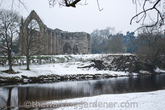 Bolton Priory Dales Way (3)