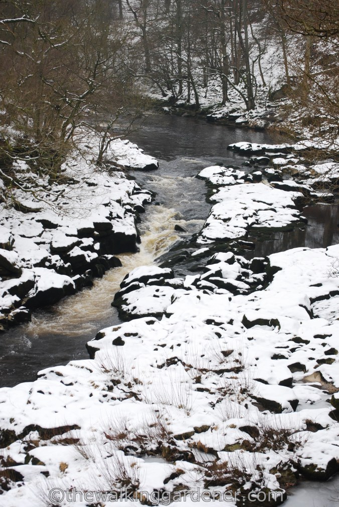 The Strid Dales Way