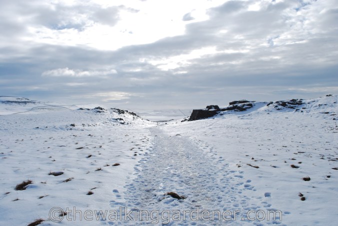 Dales Way Day 2 Burnsall to Cray (10)