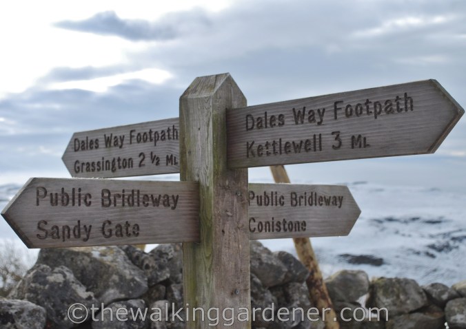 Dales Way Day 2 Burnsall to Cray (16)