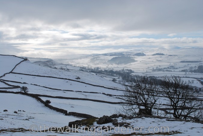 Dales Way Day 2 Burnsall to Cray (24)