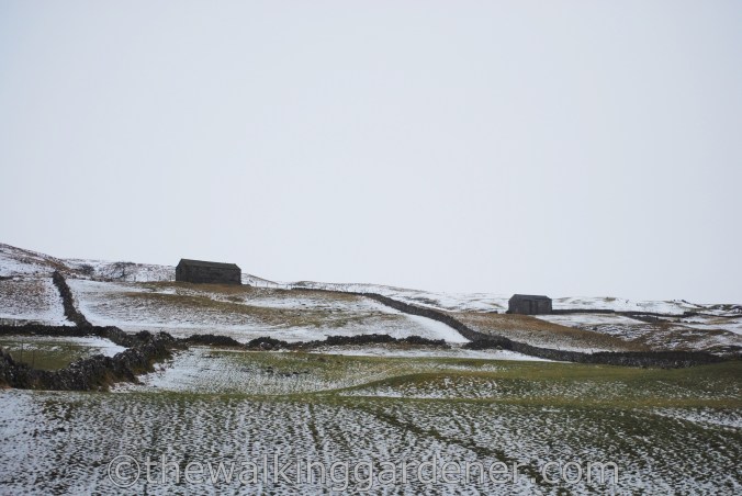 Dales Way Day 3 Cray to Ribblehead (1)