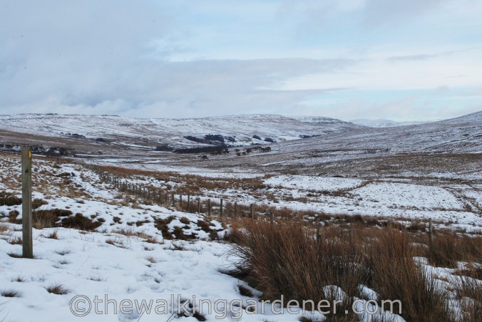 Dales Way Day 3 Cray to Ribblehead (11)