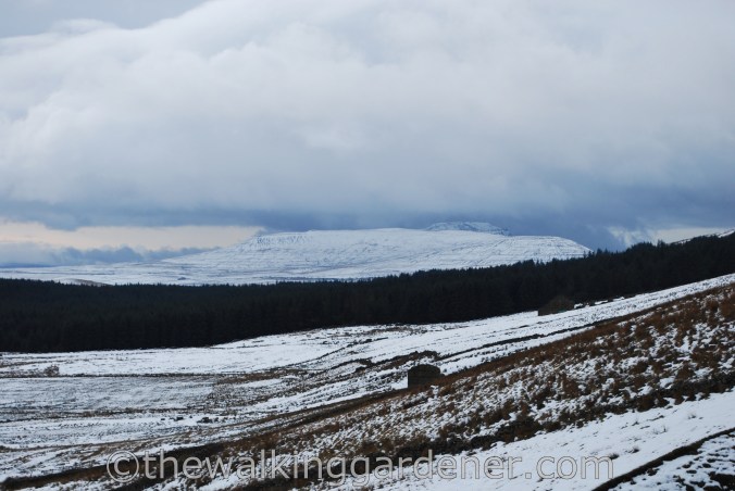 Dales Way Day 3 Cray to Ribblehead (17)