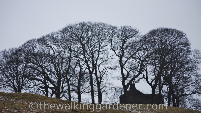 Dales Way Day 3 Cray to Ribblehead (2)