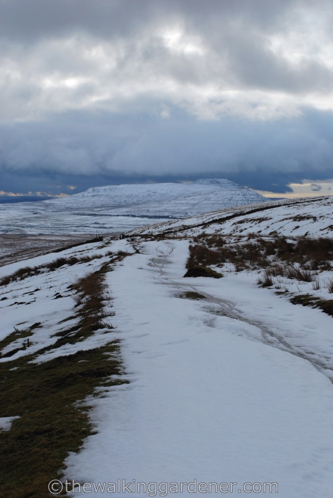 Dales Way Day 3 Cray to Ribblehead (26)