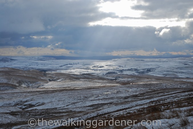 Dales Way Day 3 Cray to Ribblehead (29)