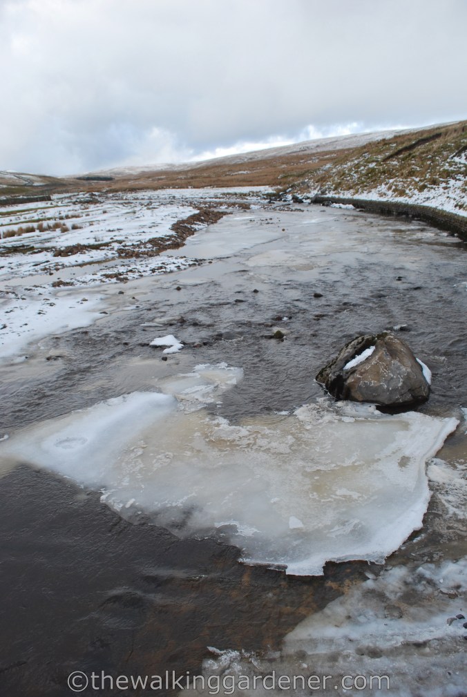 Dales Way Day 3 Cray to Ribblehead (32)
