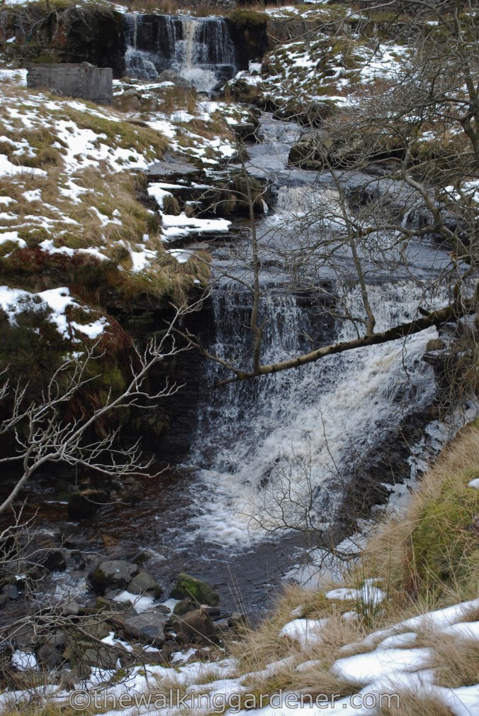 Dales Way Day 4 Ribblehead to Sedbergh (8)