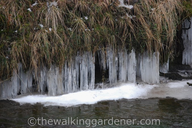 Dales Way Day 4 Ribblehead to Sedbergh (9)