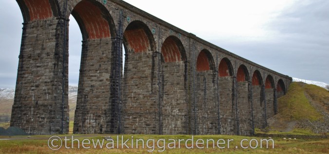 Ribblehead Viaduct Dales Way (3)