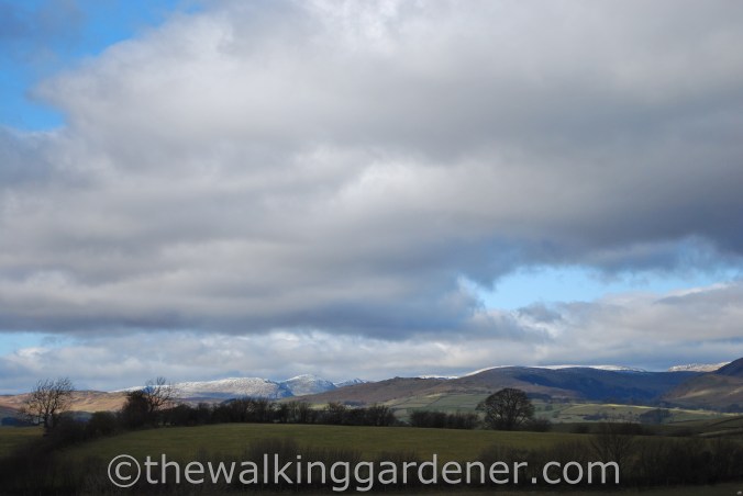 Dales Way Day 5 Sedbergh to Staveley (6)