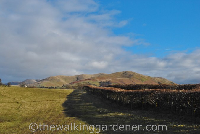 Howgill Fells Dales Way (1)