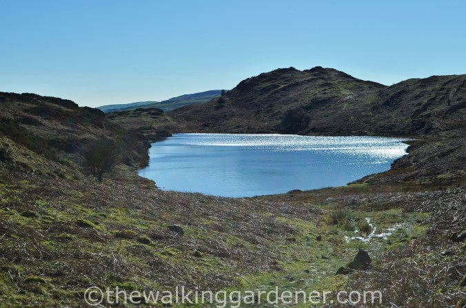 Beacon Tarn Cumbria Way (1)