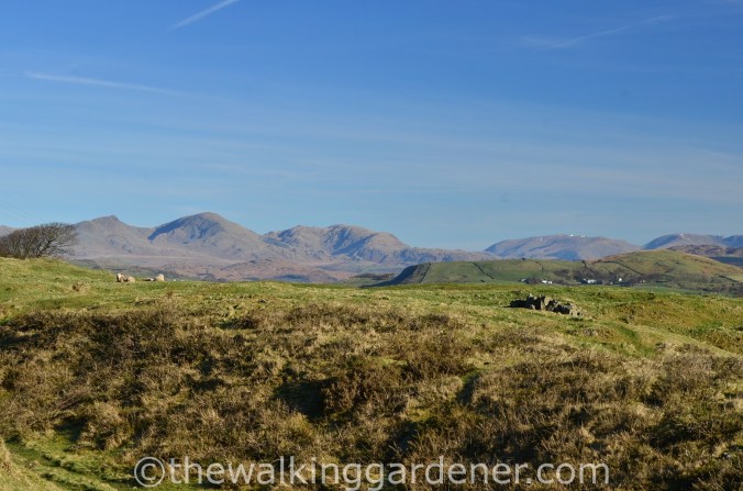 Coniston Fells
