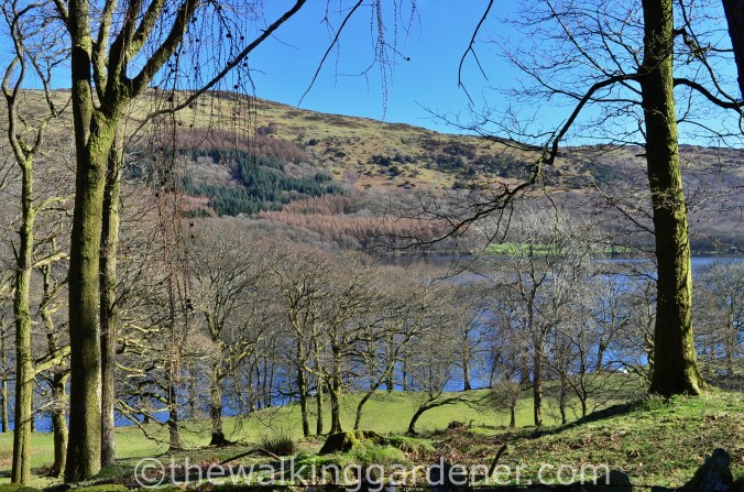Coniston Water Cumbria Way (2)