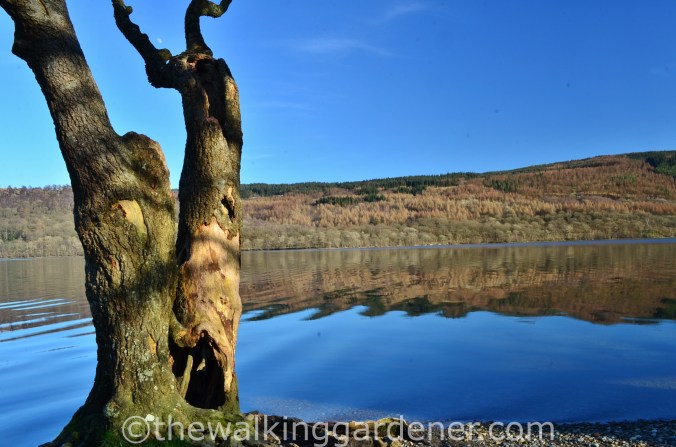 Coniston Water Cumbria Way (4)