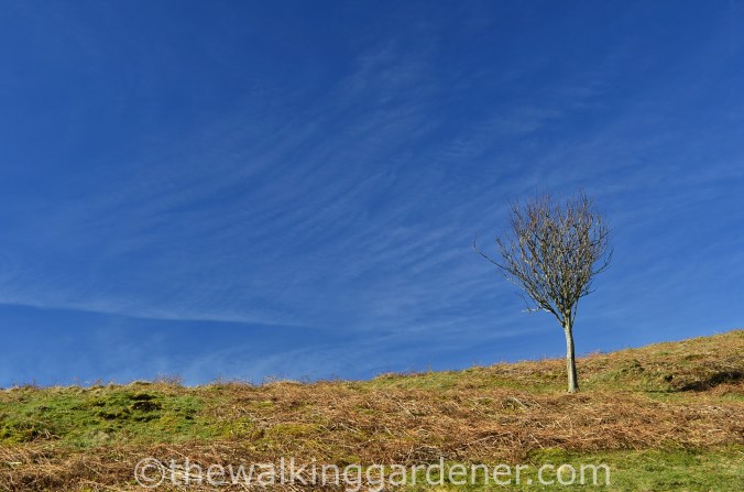 Cumbria Way Day 1 (10)