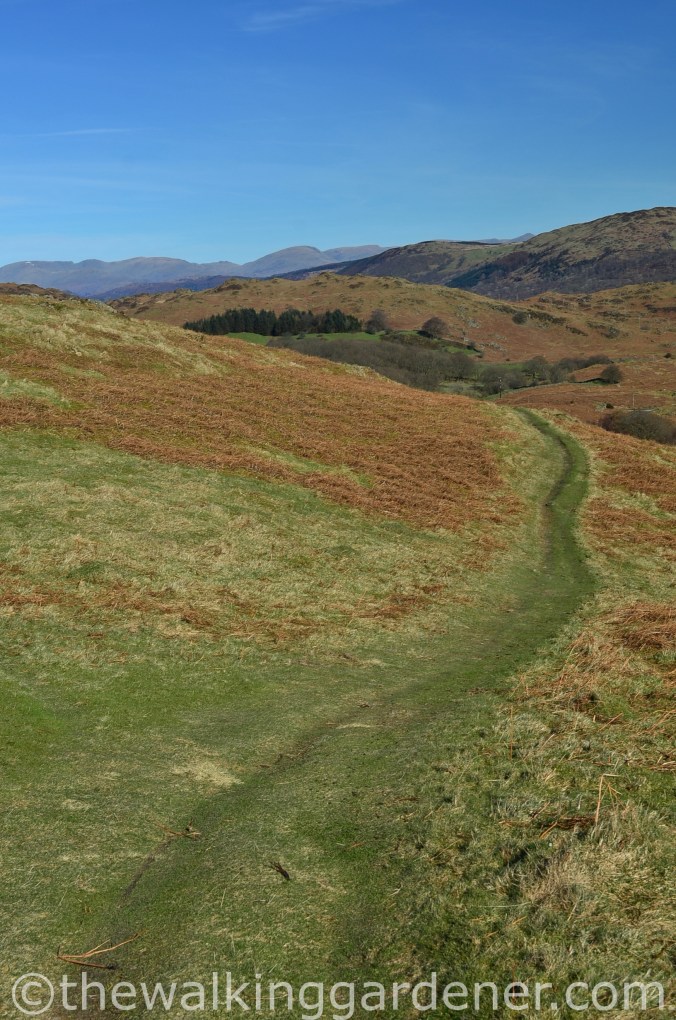 Cumbria Way Day 1 (11)