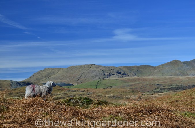 Cumbria Way Day 1 (13)