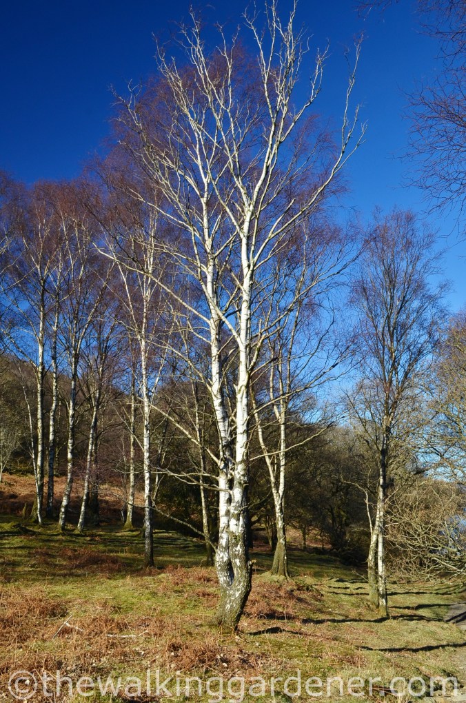 Cumbria Way Day 1 (14)