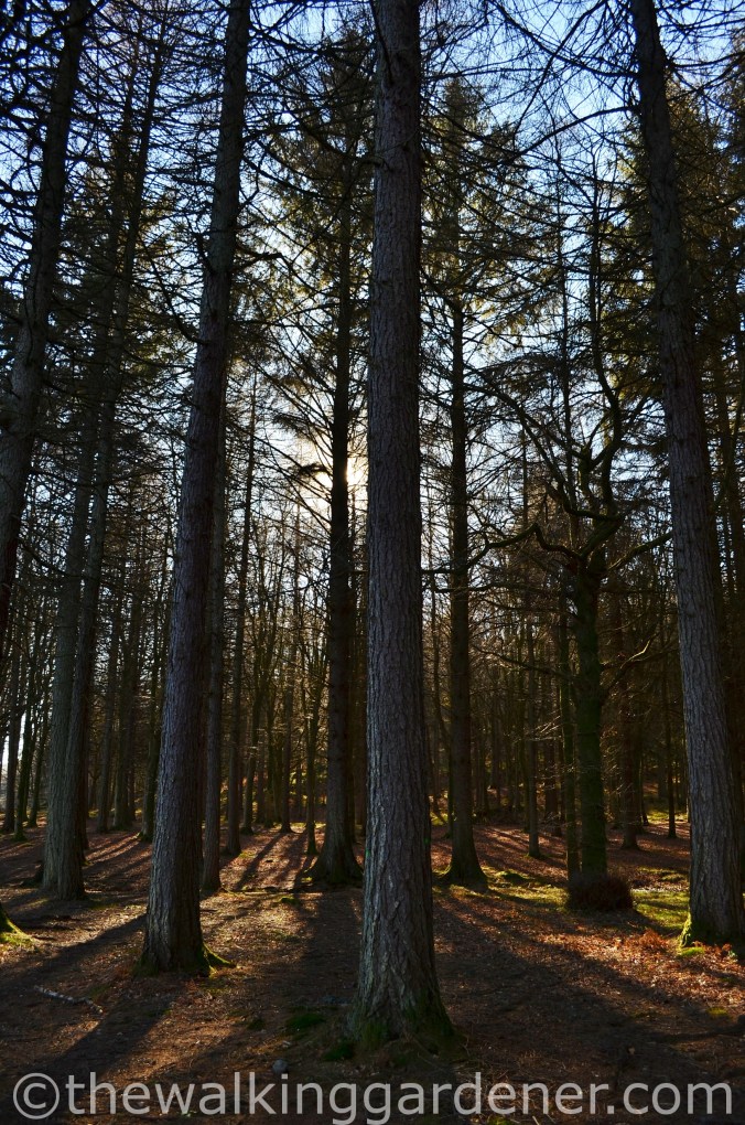 Cumbria Way Day 1 (15)
