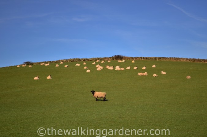Cumbria Way Day 1 (3)