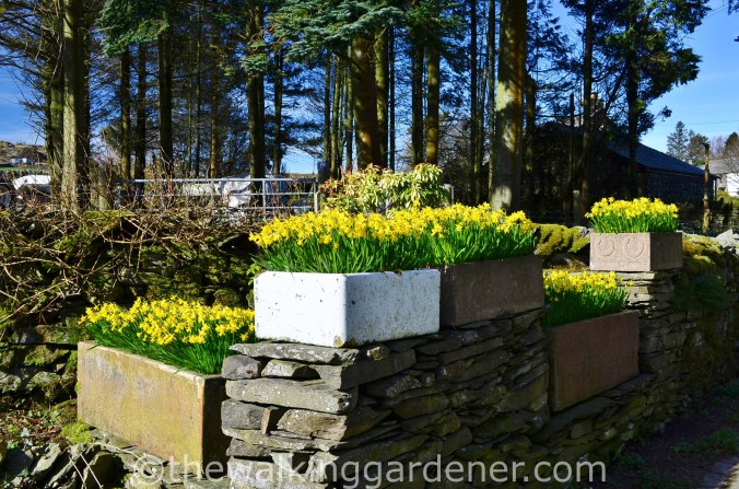 Cumbria Way Day 1 (4)