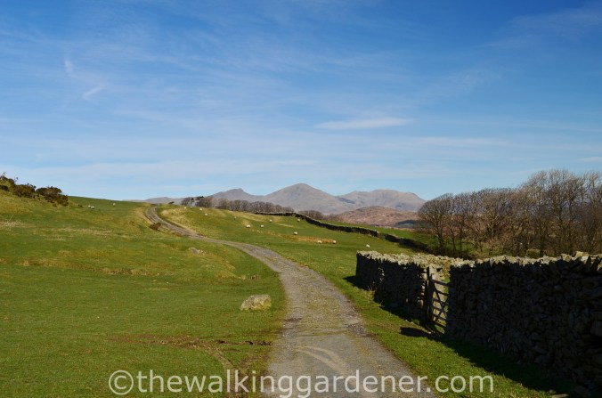 Cumbria Way Day 1 (5)