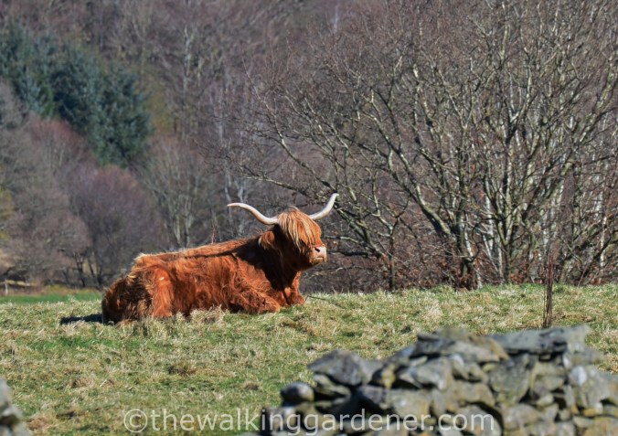 Cumbria Way Day 1 (6)
