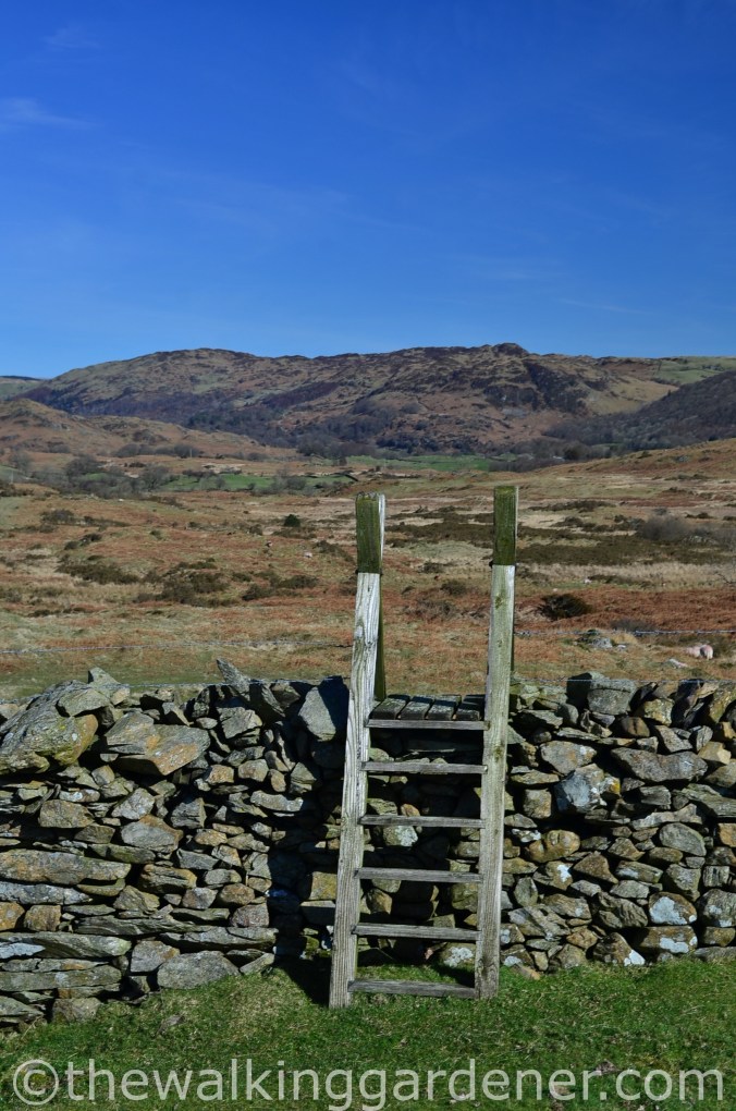 Cumbria Way Day 1 (8)