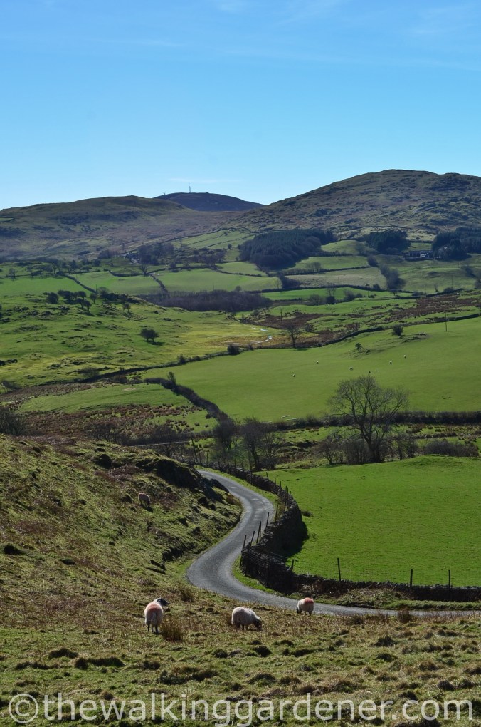 Cumbria Way Day 1 (9)