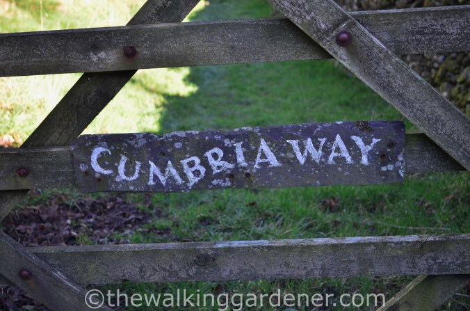 Cumbria Way Sign (2)