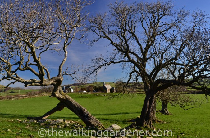 St John's Church near Broughton Beck (2)