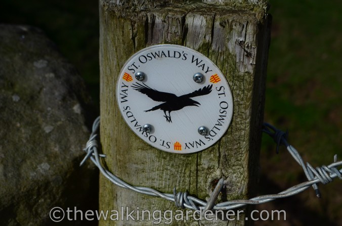 St Oswalds Way Sign