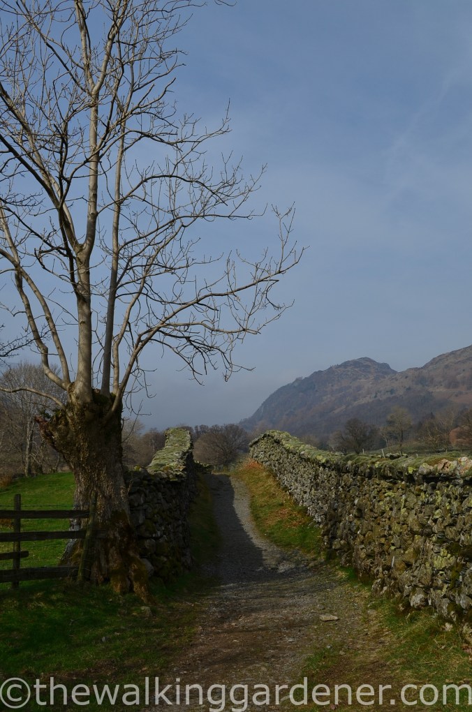 Borrowdale