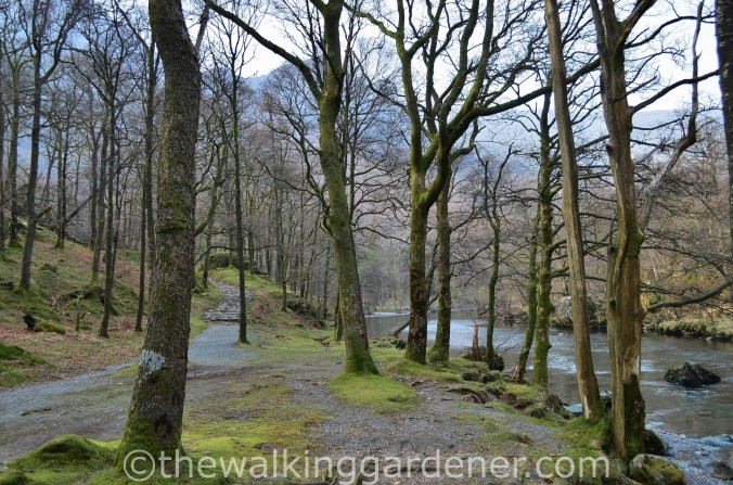 Cumbria Way Great Langdale to Keswick (1)