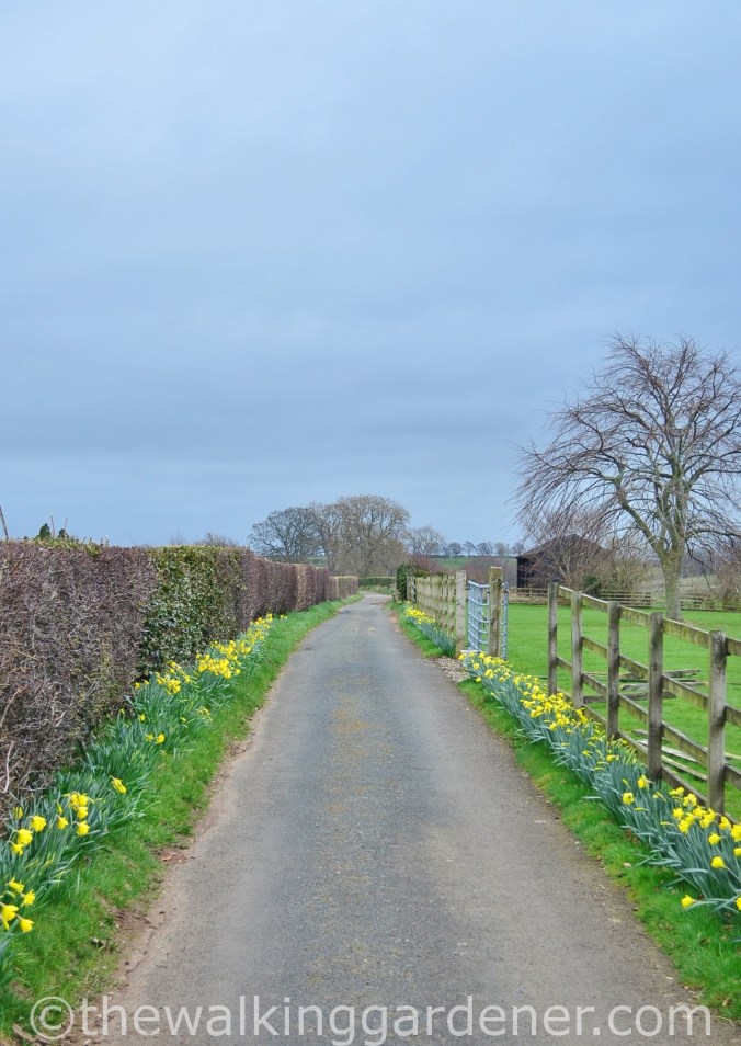 Cumbria Way Caldbeck to Carlisle (5)