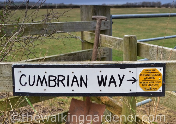 Cumbria Way Sign