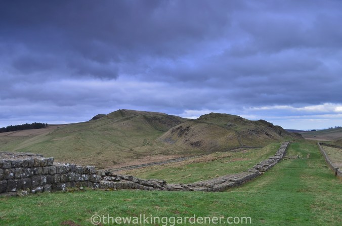 Approaching Turrest 41A