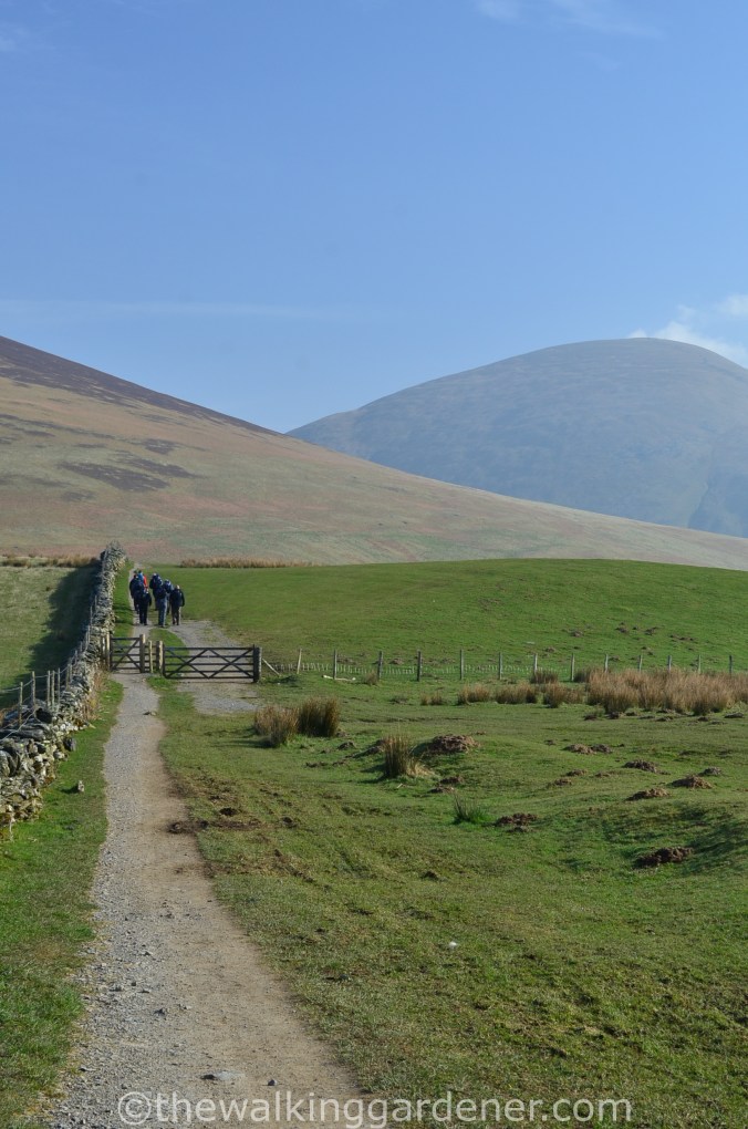 Cumbria Way (1)