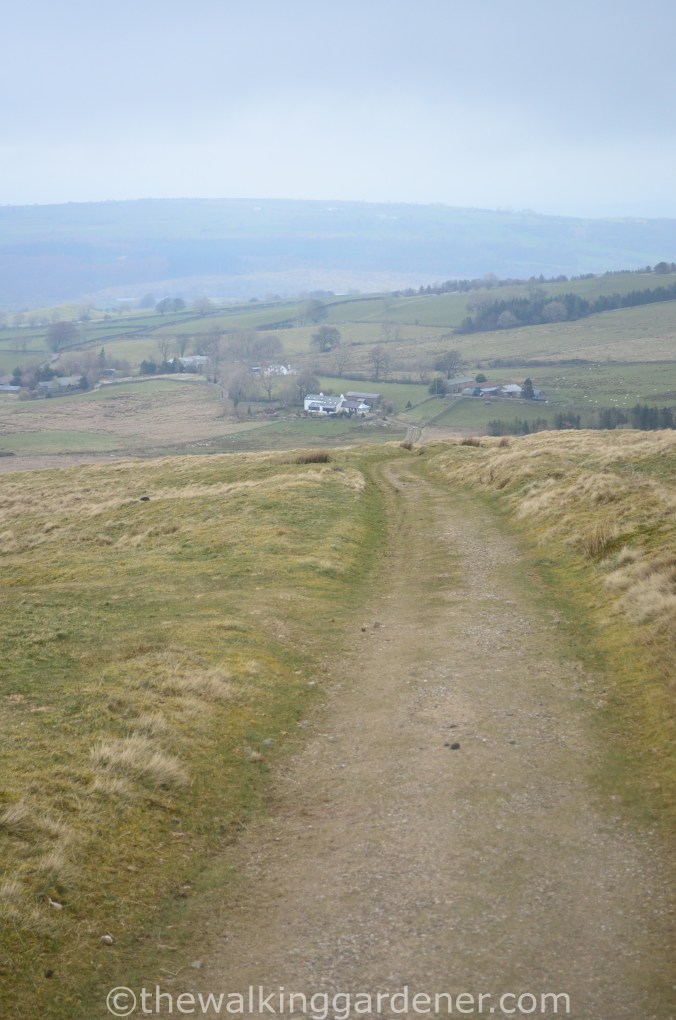 Cumbria Way Keswick to Caldbeck (3)