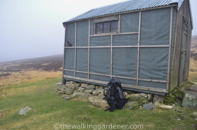 Great Lingy Hut (1)