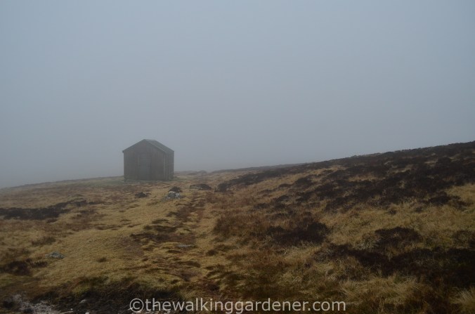 Great Lingy Hut (2)
